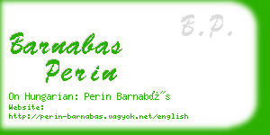 barnabas perin business card